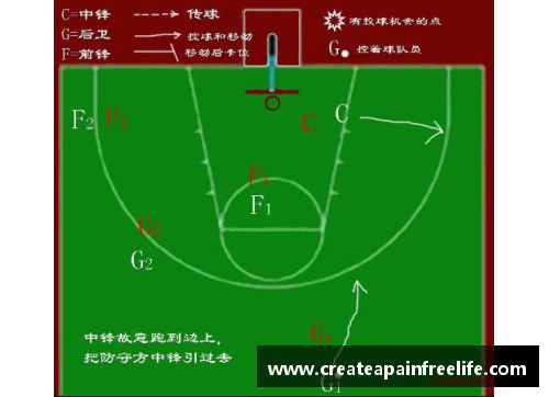 全面解析篮球球员分布与战术配置对比